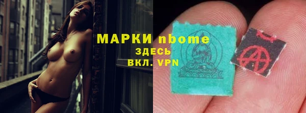 мдпв Верхний Тагил