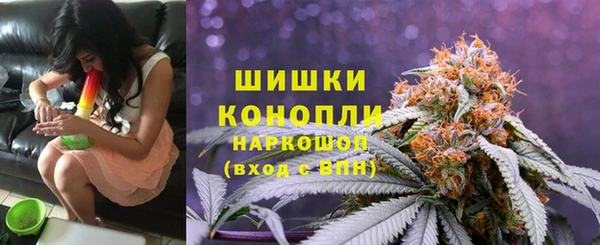 мдпв Верхний Тагил