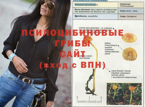 ALPHA PVP Верхнеуральск