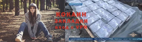 мдпв Верхний Тагил